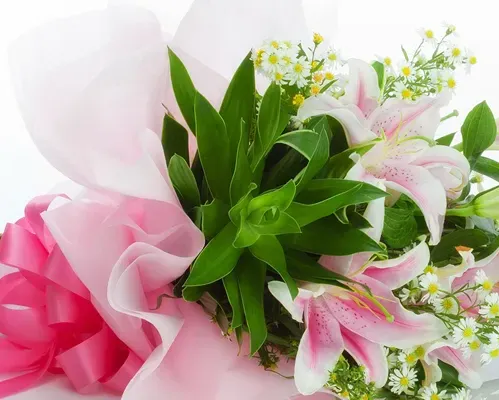 Florists Suppliers